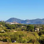 Napoleone - Helloelba *
