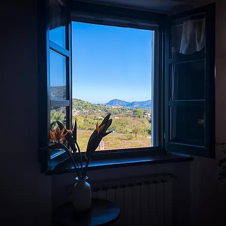 Napoleone - Helloelba