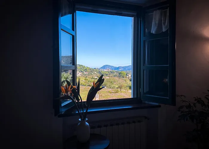 Napoleone - Helloelba